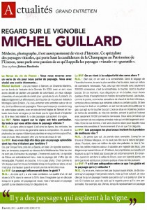 Regard sur le Vignoble