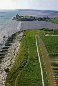 La Vigne sur la Falaise